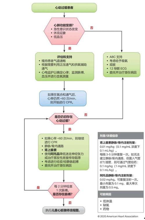 保险理赔爆料流程视频教程,轻松掌握理赔流程  第1张 保险理赔爆料流程视频教程,轻松掌握理赔流程  第1张